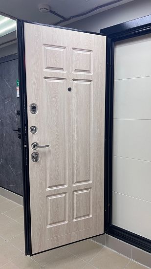 Входная дверь  